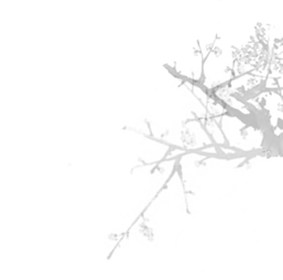 Choi's Health SPA Center for Teraputic benefits of Massage Therapy